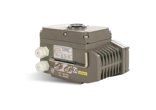 Basic rotary stoke electric actuator