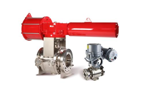 Forged steel Trunnion ball valve